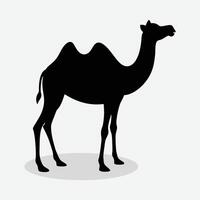 a camel silhouette on a white background vector