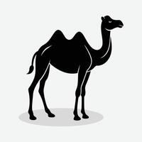 a camel is standing in front of a white background. vector