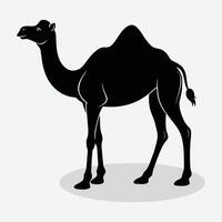 a camel is standing in a black silhouette on a white background vector