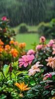 Lively Garden Following Rain photo
