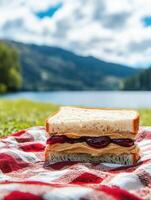 Peanut Butter and Jelly on Picnic Spread photo