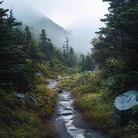 Light Rain Over the Mountain Pathway photo