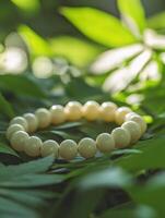 Cream Meditation Orbs photo