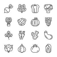 A set of vegetables and fruits in a line vector