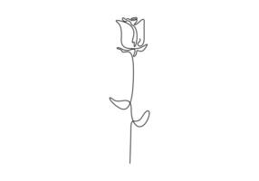Continuous single line drawing of rose flower. One line art flower icon. Graphic illustration vector