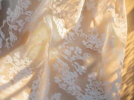 Sun Beams Through Delicate Lace photo