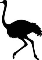 Running Ostrich black silhouette isolated on white background. Dynamic Silhouette of a Running Ostrich - Fastest Ostricon Land Illustration. vector