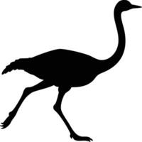 Running Ostrich black silhouette isolated on white background. Dynamic Silhouette of a Running Ostrich vector