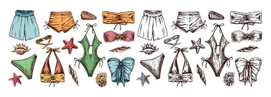 Hand drawn colored and monochrome sketch of summer swimwear set with seashells vector