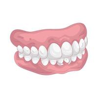 Illustration of Denture vector