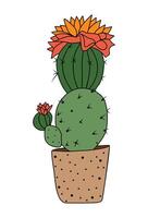 A cactus plant with a flower on top of it. vector