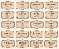 Set of spice jar labels with herbs sketches vector