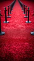 Red carpet pathway leading to an elegant event venue with lined stanchions as a marker for arrival photo