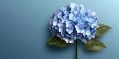 Beautiful blue hydrangea flower against a soft blue background, showcasing delicate petals and vibrant leaves photo
