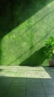 Bright green wall with sunlight casting shadows on floor and plant creating a serene indoor environment photo