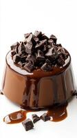 Decadent chocolate dessert topped with chocolate chips and drizzled with chocolate sauce photo