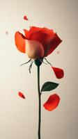 Beautiful red rose with falling petals against a soft neutral background photo