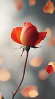 Close-up view of a vibrant rose with petals softly falling in a blurred background during daylight photo