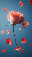 Beautiful rose surrounded by floating petals against a blue background in a serene setting photo