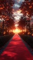 Sunset glow illuminates a red carpet path lined with trees in a tranquil outdoor setting photo