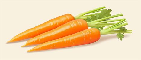 Three Fresh Carrots With Green Tops photo