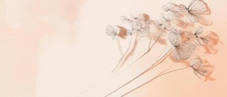Hydrangea Delicate Flowers On Peach Background photo