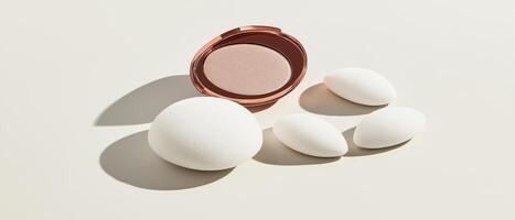 Cosmetic Sponges With a Compact Case photo
