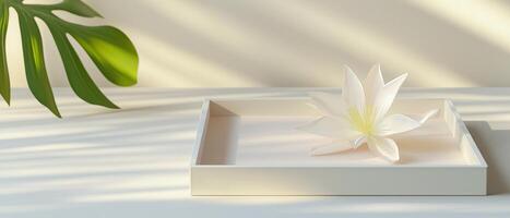 White Flower On Tray With Monstera photo