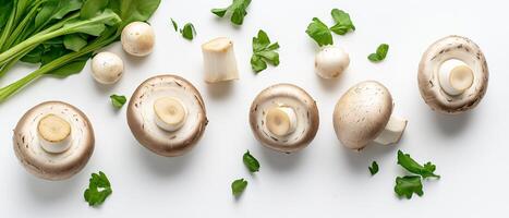 Cremini Mushrooms With Fresh Green Herbs photo