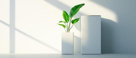 Indoor Plant With Box Mockup Design photo