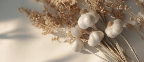 Dried Garlic Bulbs With Pampas Grass photo