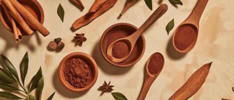Cinnamon, Cocoa, and Spices Still Life photo