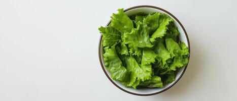 Fresh Green Lettuce In Bowl Isolated photo