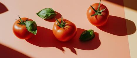 Tomatoes And Basil On Pink Background photo