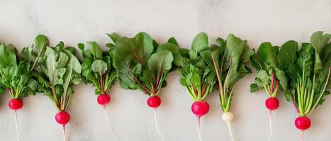 Fresh Radishes With Green Leaves Isolated photo