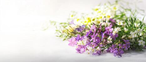 Mixed Spring Wildflowers Isolated On White photo