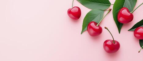 Fresh Cherries With Green Leaves On Pink photo