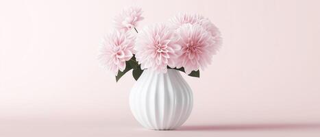 Pink Dahlias In White Vase, Still photo