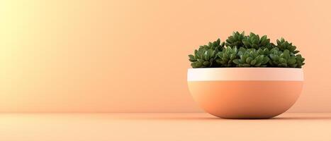Succulent Plant In Pot On Table photo