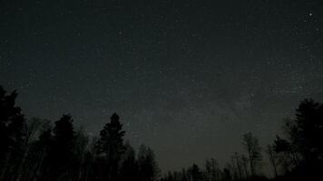 Starry Sky Over a Forest at Night, A vast starry sky shining over a dark forest, creating a peaceful night view. Time lapse video