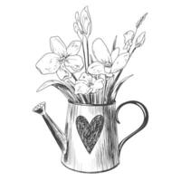 Hand drawn watering can with flowers isolated on white background. Sketch style spring illustration. Mother's day illustration for postcard. Bouquet in garden watering can vector
