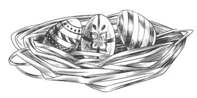 Nest with Easter eggs isolated on white background. Painted eggs lie in the nest. Sketch style Easter illustration. vector