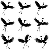 Set of flamingo silhouette vector