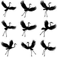 Set of flamingo vector