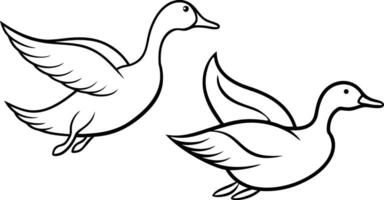 Tow flying duck in a simple, curved-line silhouette vector