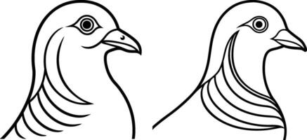 Tow Pigeon head in an elegant, curved-line style vector