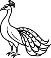 A peacock tail in an elegant, simplified silhouette design vector
