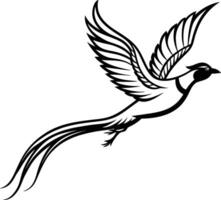 Flying Black pheasant with artistic, flowing line vector