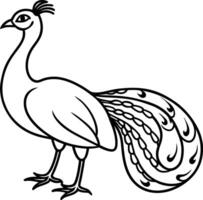 A peacock standing gracefully with curved-line details vector