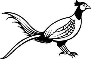 A pheasant standing on a branch in a minimalistic line vector